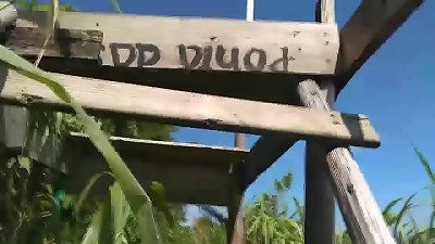 dirty whore on the shore