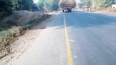 Indian sizzling couple MMS xxx