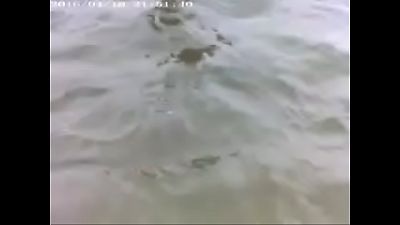 Mary cadelona wife displaying off bare on the beach by day in Praia Grande SP, for everyone to witness and husband Alexandre films everything