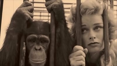 antique Taboo, fuckbox & Pooch